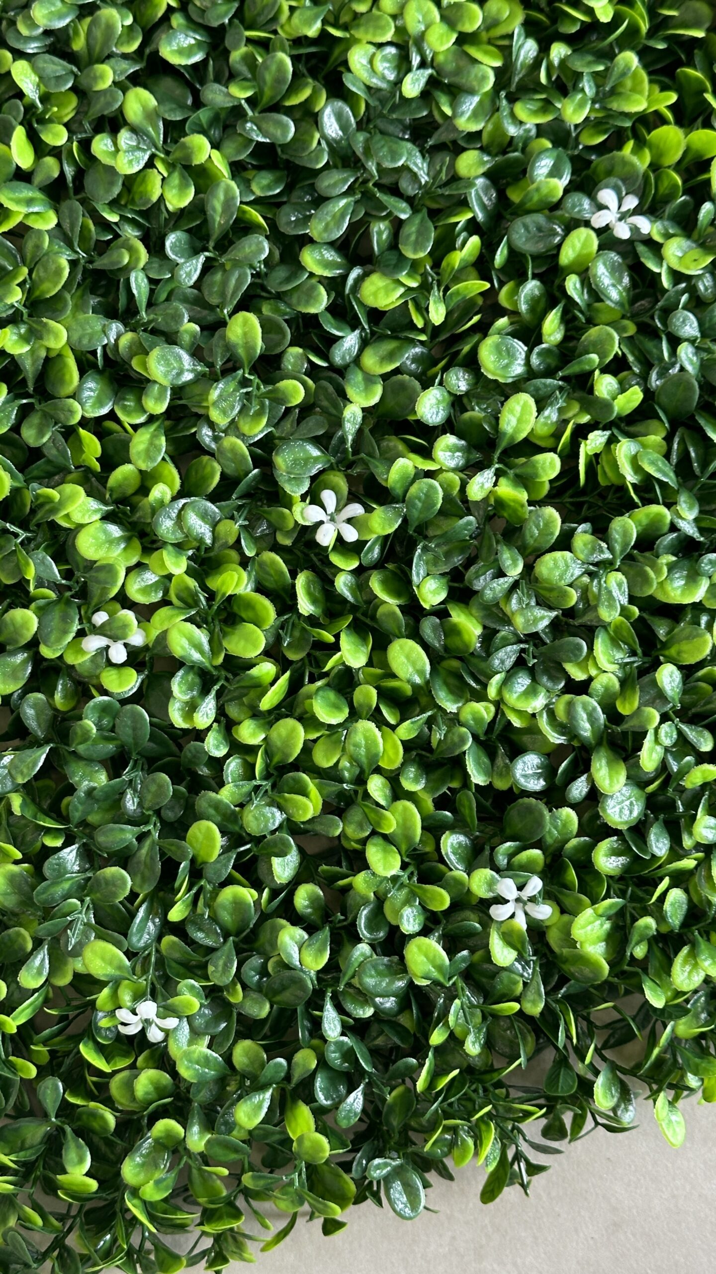 Jardín Vertical Jazmín MZ188036A